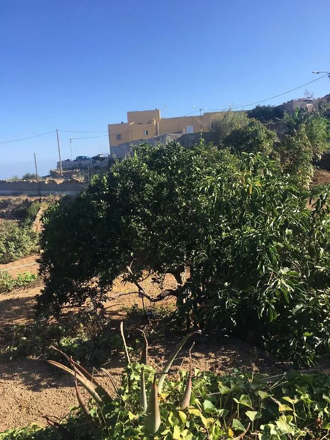 Green Village. Tony Frias. Fasnia Spain
